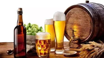 啤酒的多元魅力 不止于解渴，探尋其獨(dú)特風(fēng)味與妙用